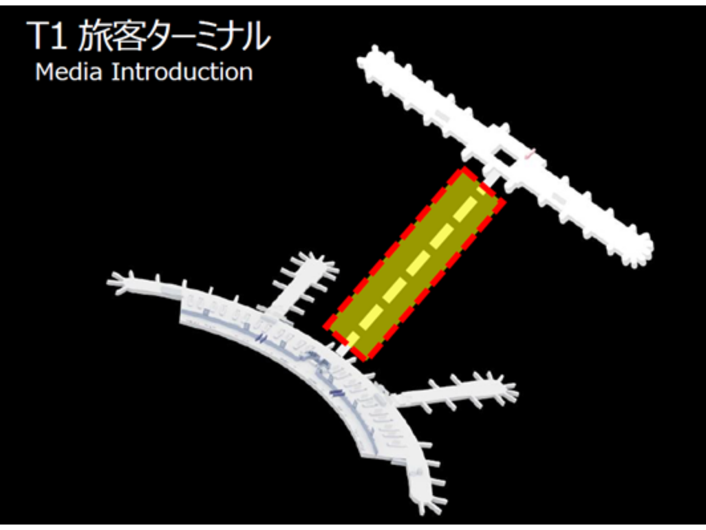 在仁川国际机场1号航站楼的班车内部