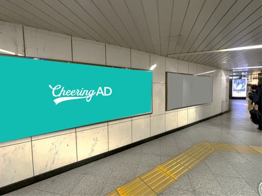 東京メトロ 渋谷 B0駅ポスター2枚連貼り