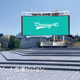 도쿄 돔 시티 비전 기본 세트 (5면)