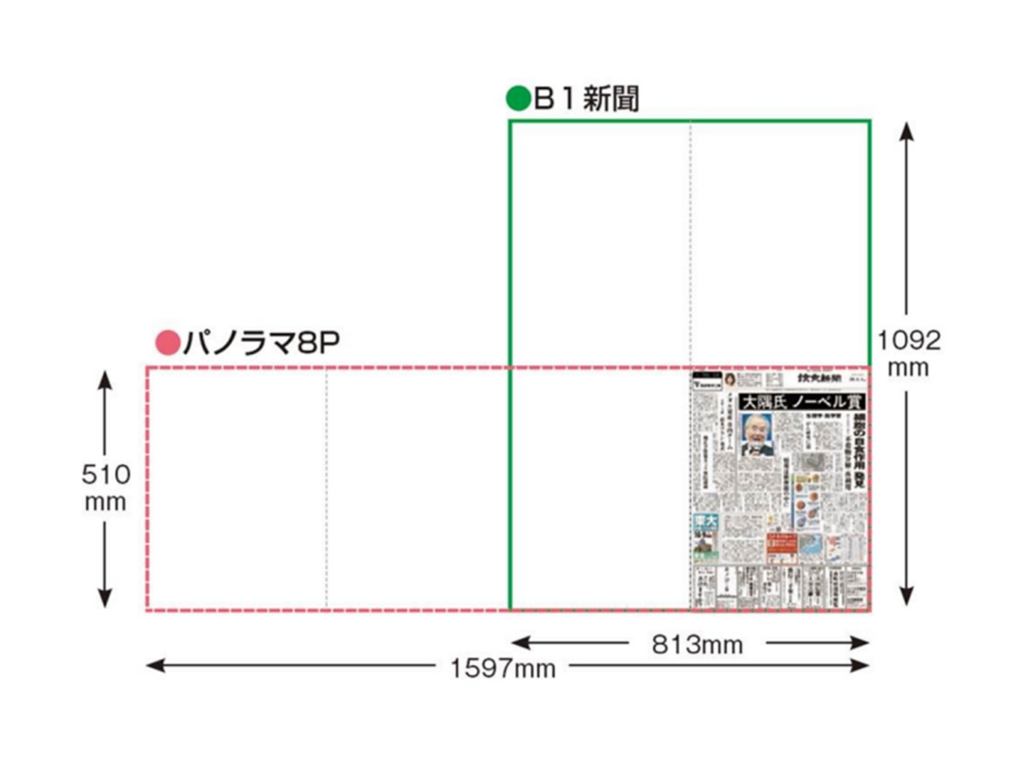 [Chunichi Sports] 5 -stage color pure advertisement under performing arts