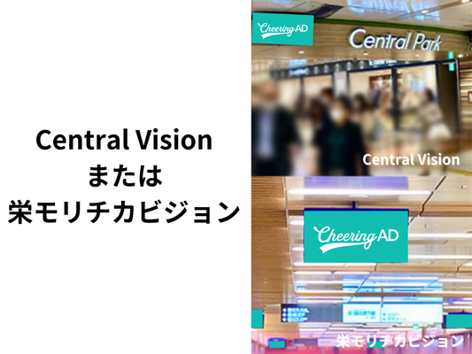 Sakae Morichika Vision/HISAYA CENTRAL VISION/CENTRAL VISION full set per day 160,000 yen course