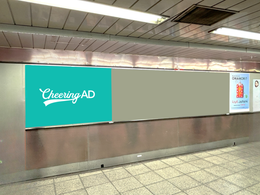 Tokyo Metro Shinjuku B0 Station Poster