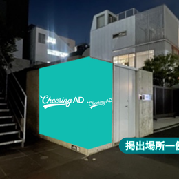 HARAJUKU WILD POSTING B1：110枚B（14箇所）